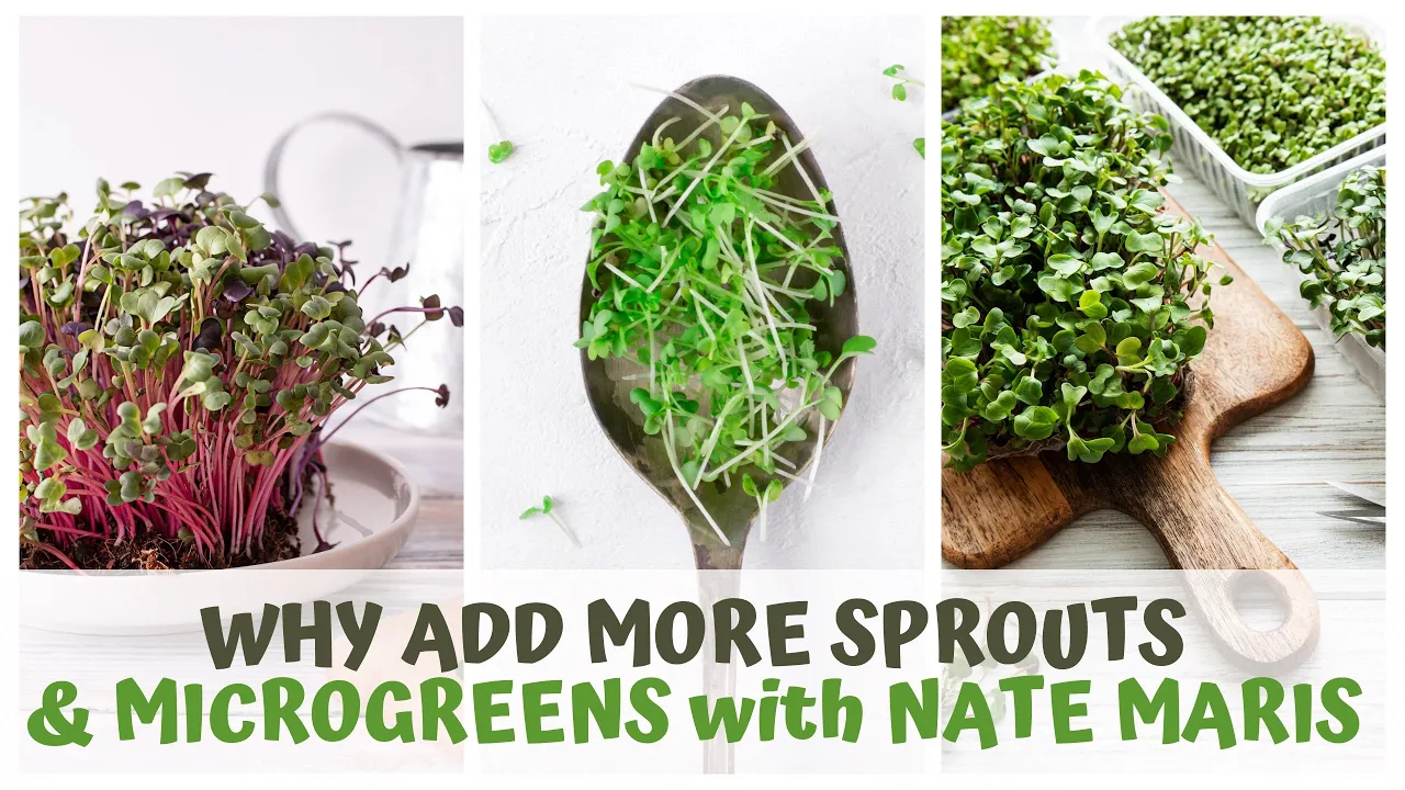 WHY ADD MORE SPROUTS AND MICROGREENS TO EVERYTHING WITH NATE MARIS