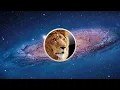 What if you delete the System on EVERY MacOS Version?