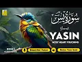 Download Lagu Surah Yasin (Yaseen) سورة يس ✦ Beautiful voice heart touching ✦ Peaceful Quran For Sleep ✦ Alaa Aqel