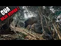 Download Lagu PENEMUAN ISTANA RAJA RIMBA DI GUA PURBA HUTAN MAWAI | MISTERI ALAM TERSINGKAP!