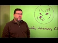 Kitten Vaccination Schedule