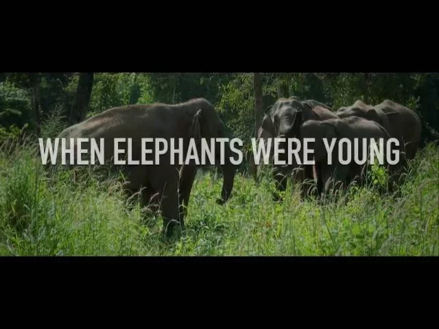 When Elephants Were Young - Trailer 1080p  [2016]