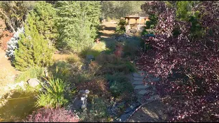 4026 Guadalupe Creek Road Mariposa Ca 95338