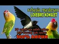 Download Lagu SUARA WALET!!! MASTERAN LOVEBIRD KONSLET