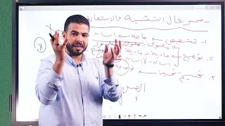 سر جمال التشبيه والاستعارة والخيال المركب والممتد 