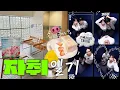 Download Lagu 오래 전 브이로그 조각.zip (#자취일기3️⃣) ✦평창여행\u0026맛집/이청아샐러드🥗/엄마오빠랑 합정+연희동 데이트/과일샌드위치 맛집🍓/소품샵 투어✦ yosmwoorin vlog