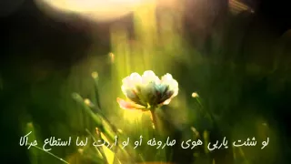 لله في الآفاق آيات  كاملة    للشيخ عبد الواحد المغربي           دندنها