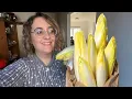 Download Lagu LOS VECINOS EXIGEN ESTA RECETA! LAS ENDIVIAS GRATINADAS MÁS FAMOSAS DE BÉLGICA 