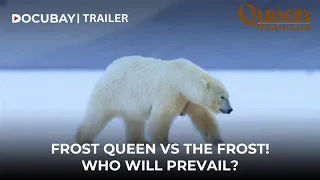 Queen Without Land: A Polar Bear’s Fight for Survival | Documentary | Stream Now!