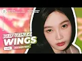 Red Velvet — Wings // Line Distribution