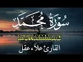 Download Lagu سورة محمد كاملة بصوت خاشع يريح القلب - القارئ علاء عقل [ الختمة المرتلة ] Surah Muhammad - Alaa Aqel