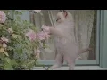 Download Lagu DOVE CAMERON — Count Me In | From 'Liv \u0026 Maddie' (Sped Up)