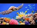 Download Lagu Relaxing music for the nerves 🌿 Soothing music, healing music for the heart and blood vessels