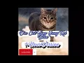 Download Lagu Yung Kai - Blue (Cover By Oia Cat) 1 Hour Version 🎧 #cat #catlover #sad #vibes #youtube