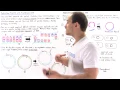 Restriction Enzymes and Recombinant DNA