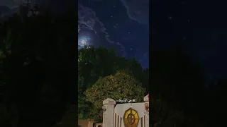 اليسا عايشالك احلى سنين اغاني بدون موسيقى 