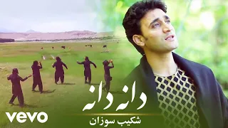 شکیب سوزان   دانا دانا   فیلم رسمی   دندنها