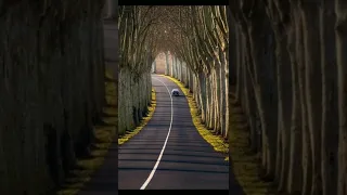 بص شوف مين يا وعدي بطيء كامله  دندنها