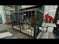 Is a Furniture Dog Crate Right For Your Pup My Honest Thoughts