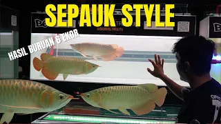 KEDATANGAN 6 EKOR NAGA MERAH SPECK CAKEP CAKEP.