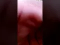 Download Lagu Cara mikat burung kaso-kaso atau tepus glagah sekali dapat langsung 5 sekaligus mantap 👍👍👍