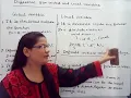 GLOBAL and LOCAL VARIABLES in C in Hindi Lec-36 C Programming Tutorial in Hindi