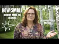 How Small Changes Create Big Change The 4 Step Ripple Maker Method