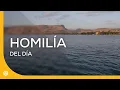 Viernes 21 de agosto Homilia del dia Magdala Tierra Santa