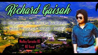 Download Richard Gaisah Medley - Sayangku Balik Bujang - Bini Tuntut Ninja Turtle - Perawan Desa HD Karaoke MP3