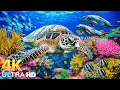 Download Lagu Dive Into the Mesmerizing Underwater Realm 🌊 Stunning 4K Aquarium \u0026 Relaxing Ocean Experience