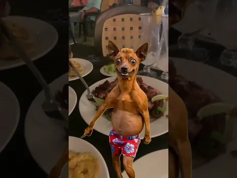 EL PAPAUPA