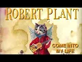 Download Lagu 03 Robert Plant - Come Into My Life