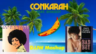 Download CONKARAH feat SHAGGY - BANANA (Summer Mashup by DJJW) MP3