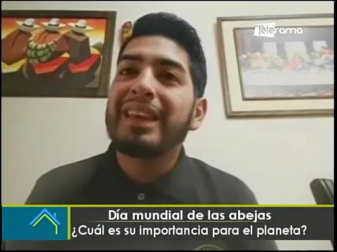 Día mundial de las abejas ¿Cuál es su importancia para el planeta?