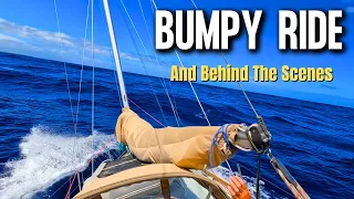 Sailing The Beautiful Coast Of Tahiti, Whales & Behind The Scenes / Ep 131