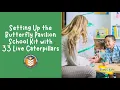 Insect Lore s Butterfly Pavilion School Kit Unboxing for Teachers
