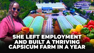 She Left Employment & Built a Thriving Capsicum (Hoho)Farm .Her Losses,Profits & Lessons |Lynn Ngugi