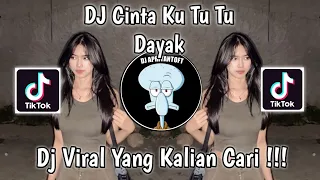 Download DJ CINTA KU TU TU DAYAK VIRAL TIK TOK TERBARU 2023 YANG KALIAN CARI MP3