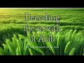 Decoding the Hebrew Month of Abib