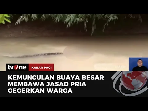 Penampakan Seekor Buaya Bawa Jasad Pria Susuri Sungai