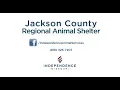 Volunteering at the Jackson County Regional Animal Shelter