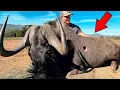 Top 30 Best Hunts of All Time
