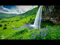 Download Lagu Genezende muziek voor hart en bloedvaten - het hart kalmeren met zachte melodieën