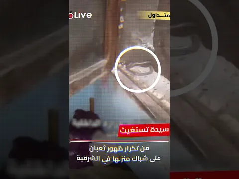 ليه الثعابين بدأت تظهر في الشوارع ؟🐍