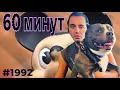 Download Lagu Кеосаян умер #кеосаян 