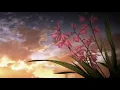 Make It To Heaven - David Guetta & MORTEN w/RAYE (slowed & reverb) Rework