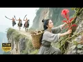 Download Lagu 【最新电影】采药女孩意外发现神秘仙草，获得无上功法称霸武林！#movie #中國電視劇
