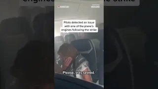 SouthwestAirlines Flight Makes Emergency Landing After Bird Strike 