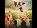 Jaane Meriye