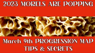 2023 Morel Mushroom Progression Map updated March 9th Expert Hunting Tips Revealed